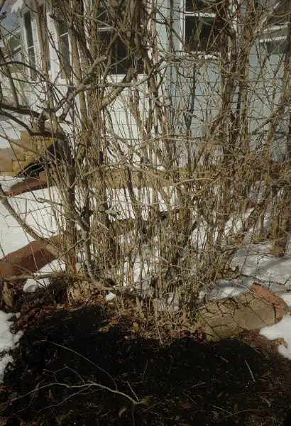 burial spot