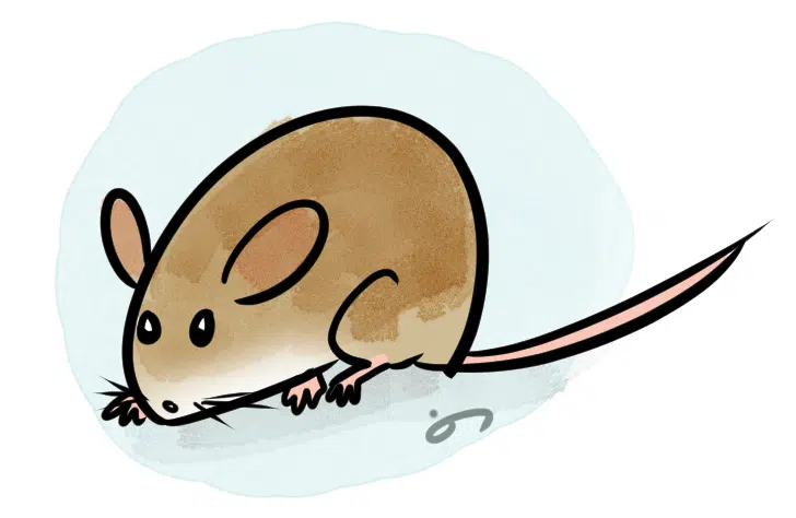 comic: Henry the Mouse