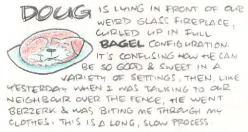comic: the many faces of Doug
