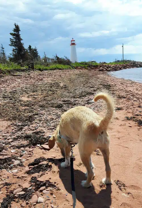 Point Prim lighthouse