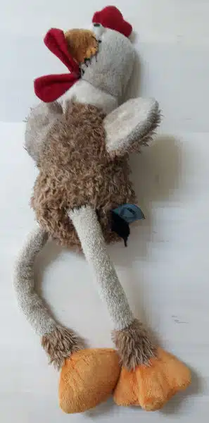 Mister Chicken