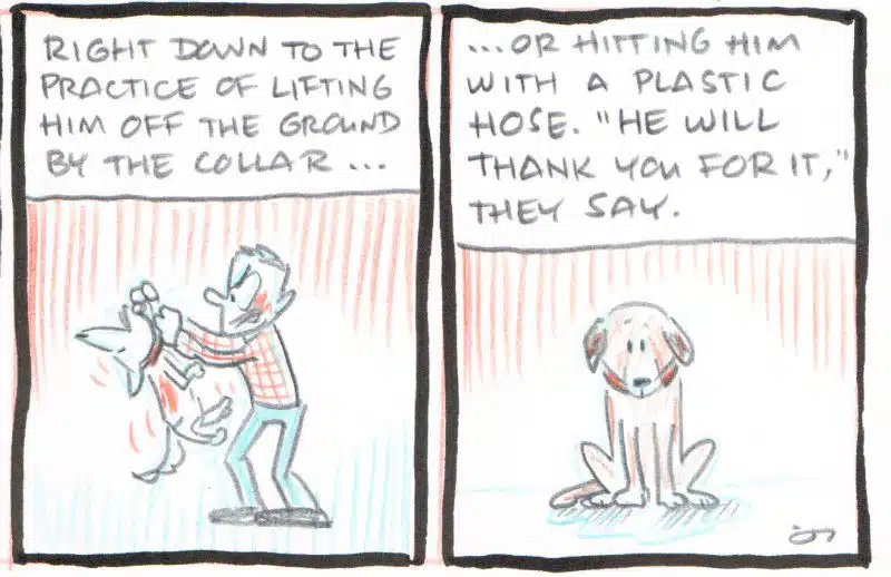 comic 2: dog training books