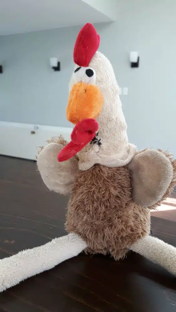 chicken toy 2