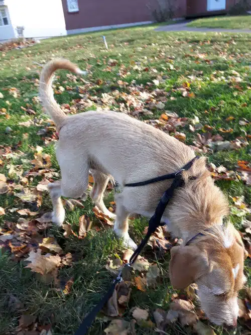 Doug digs for bread