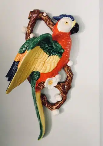 polly wanna get smashed... please